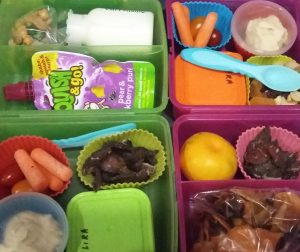 Lunchbox filled with clean healthy food as clean eating lunch ideas
